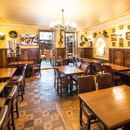 U Zlateho Stromu By Bhg Hotel