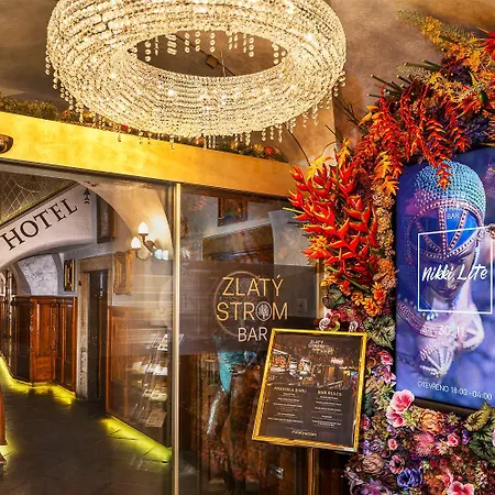 U Zlateho Stromu Hotel