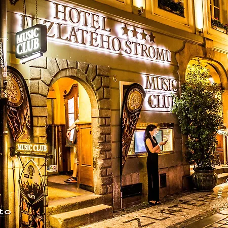 U Zlateho Stromu By Bhg 4*