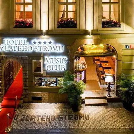 U Zlateho Stromu Prag