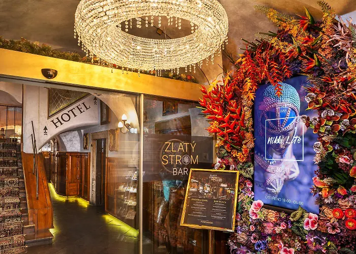 U Zlateho Stromu By Bhg Hotell